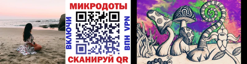 Галлюциногенные грибы мицелий  Славянск-на-Кубани 