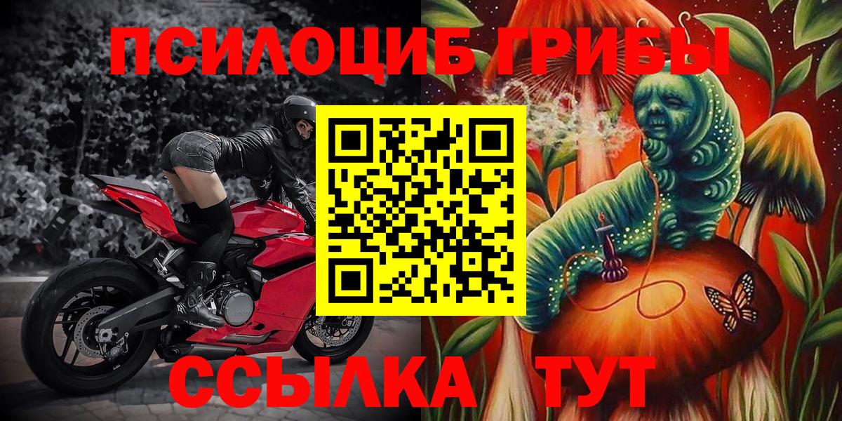 Галлюциногенные грибы мицелий  наркота  Псилоцибиновые грибы Psilocybe  Славянск-на-Кубани  Вход с VPN 
